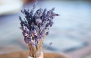 Remedies for Migraine Relief