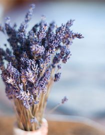 Treating Migraine Pain at Home Treating Migraine Pain at Home